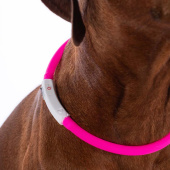Hundhalsband LED Lights Rosa Hundhalsband LED Lights Rosa