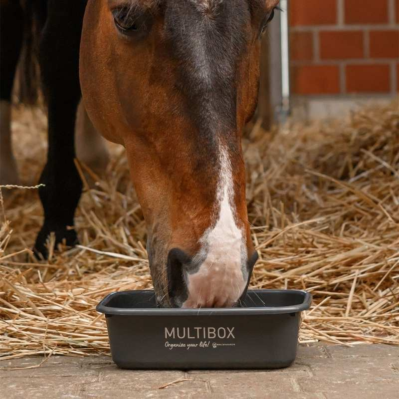 Multibox med Lock 3L Grå