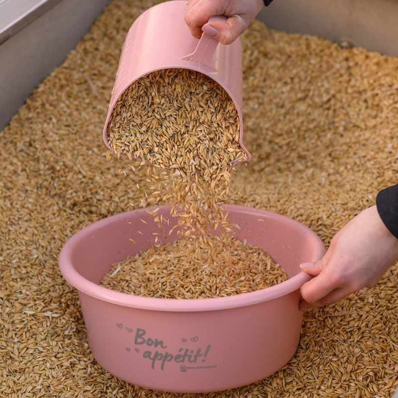 Foderskål med Lock 5L Rosa