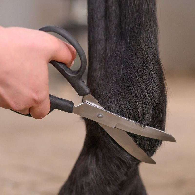 Sax Fetlock Shears Bend Svart