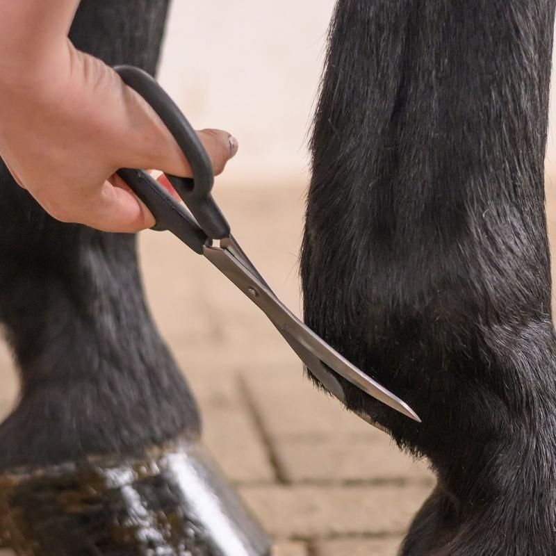Sax Fetlock Shears Bend Svart