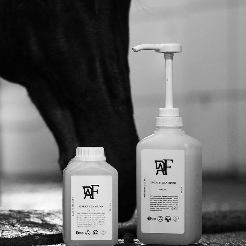 Schampo Everyday Original 00.01