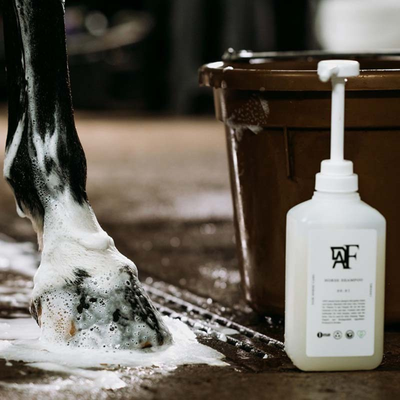 Schampo Everyday Original 00.01