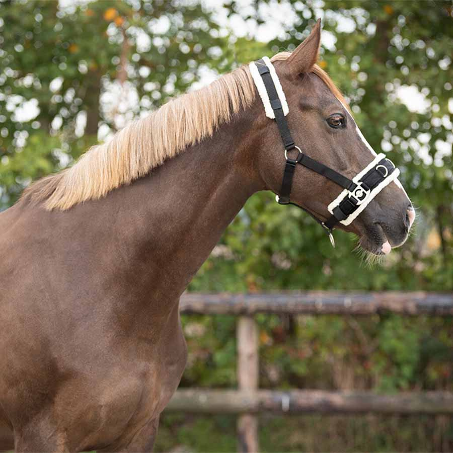 Kapson Fauxfur Svart