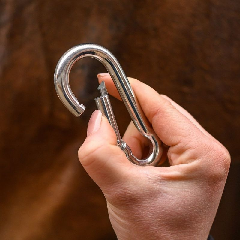 Karbinhake Carabiner Silver