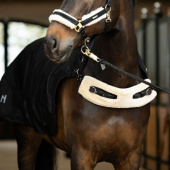 Skrittmaskinstäcke Delta II Walker Svart Skrittmaskinstäcke Delta II Walker Svart