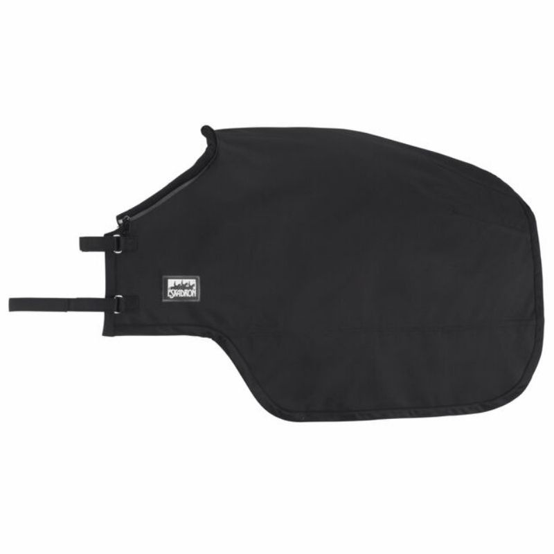 Rid- & Longeringstäcke Exercise Sheet Svart