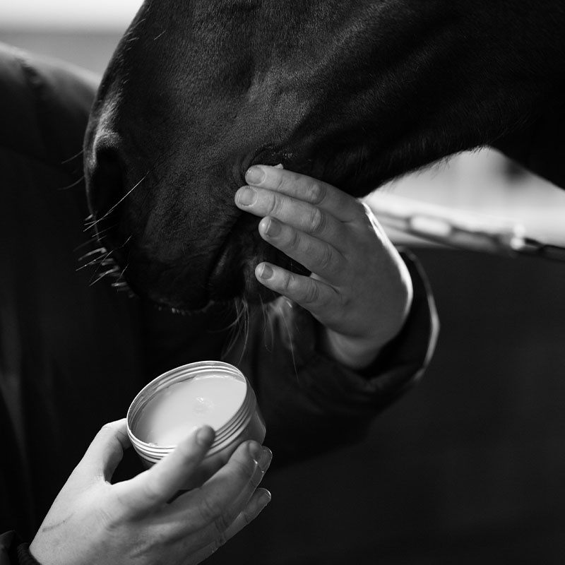 Hästsalva Survivial Balm 00.02