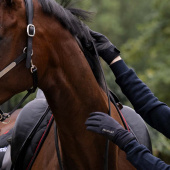 Vinterridhandskar Winsford Svart Vinterridhandskar Winsford Svart