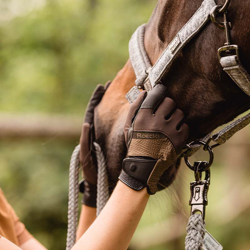 Ridhandskar Millero Brun