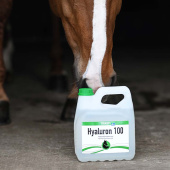 Hyaluron 100 Hyaluron 100