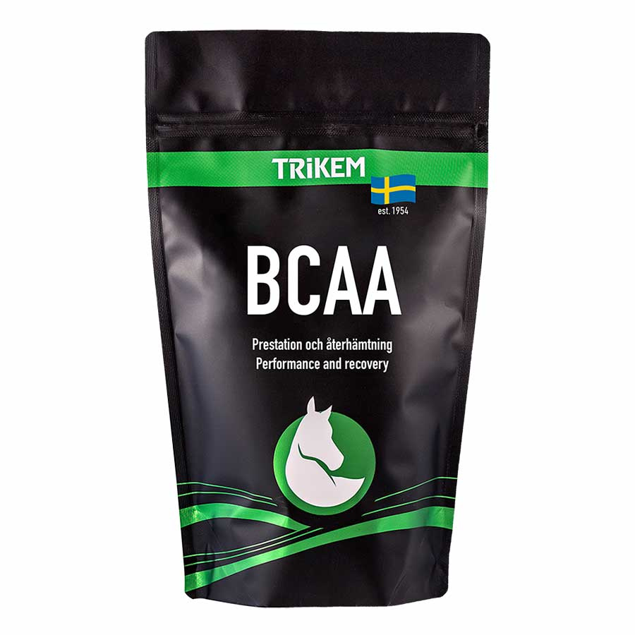 BCAA 500g
