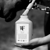 Hovolja 00.04 500ml Hovolja 00.04 500ml