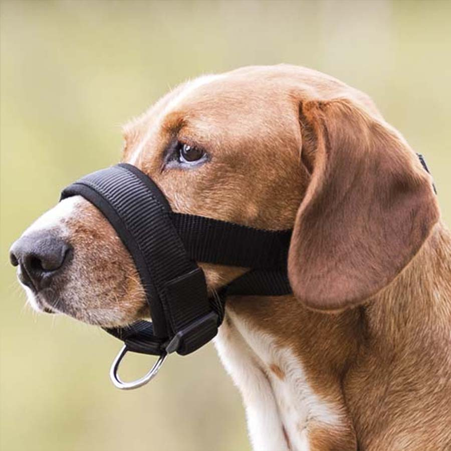 Nossele med vaddering Svart