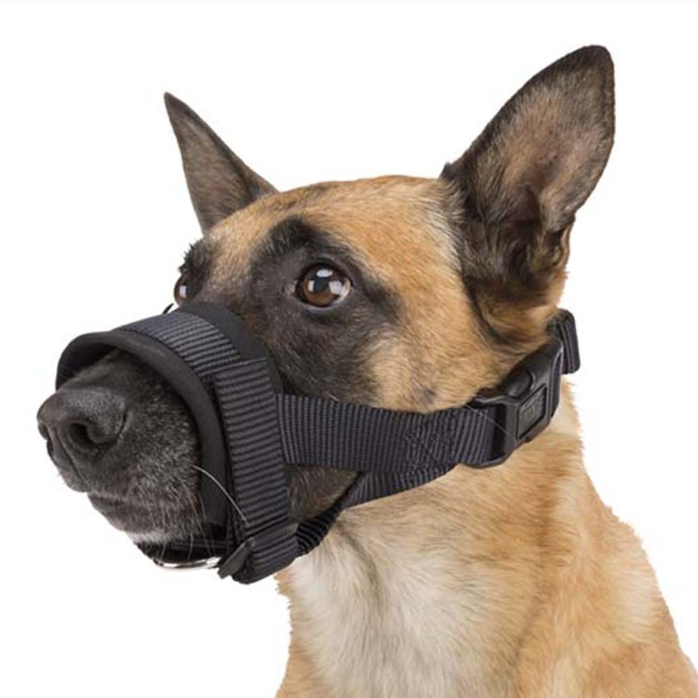 Nossele med vaddering Svart