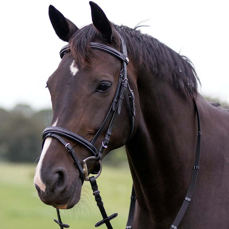 Anatomiskt Träns Luxury Stitched Svart