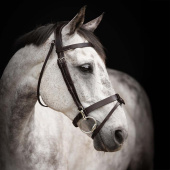 Träns Trainer Basic Mörkbrun Träns Trainer Basic Mörkbrun