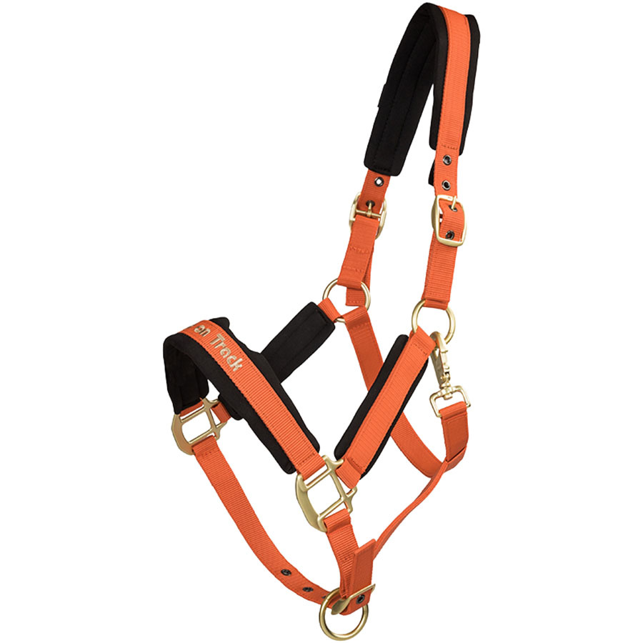 Grimma Werano Orange