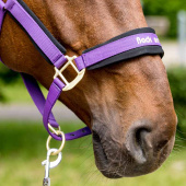 Grimma Werano Lila Grimma Werano Lila