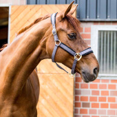 Grimma Werano Grå Grimma Werano Grå