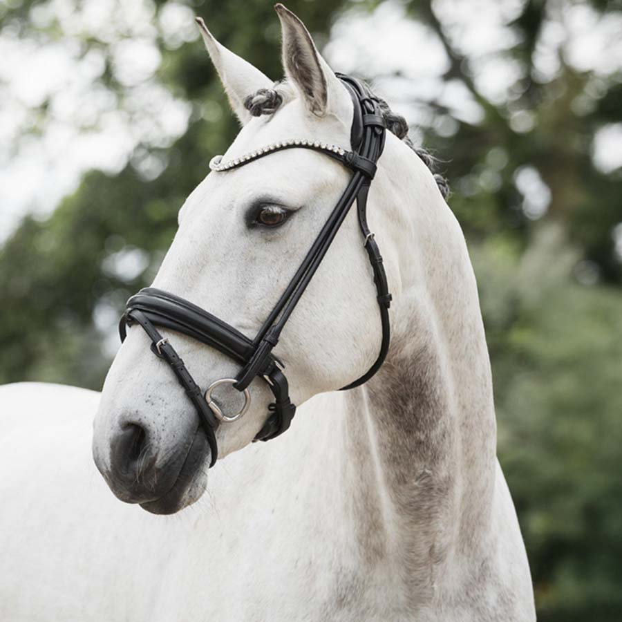 Dressyrträns Caselle Supreme Svart