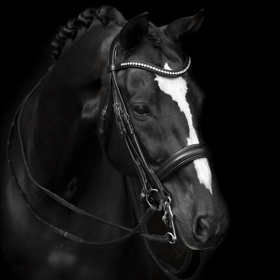 Kandarträns Delicato Supreme Svart