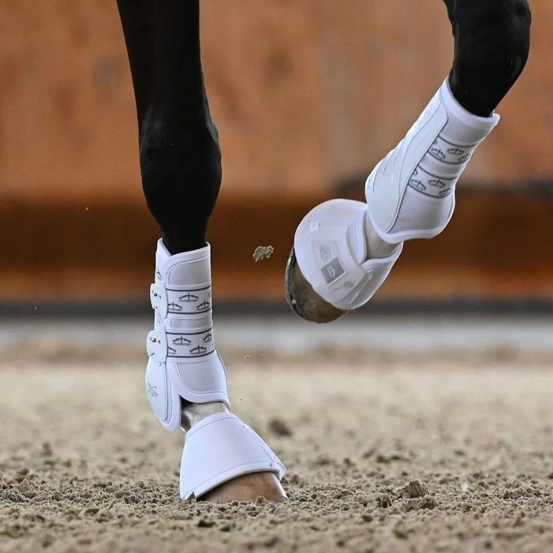 Dressyrskydd Absolute Front Elastic Vit