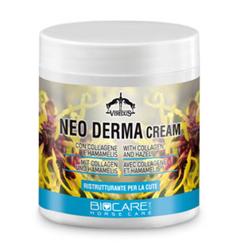 Neo Derma Salva 250ml