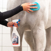 Torrschampo Easy White 500ml Torrschampo Easy White 500ml