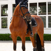 Dressyrschabrak Velvet Emblem Heritage Marinblå Dressyrschabrak Velvet Emblem Heritage Marinblå
