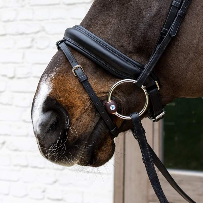 Tränsbett Flex med Lösa Ringar Hard 20mm