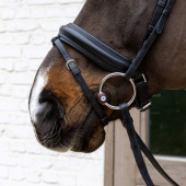 Tränsbett Flex med Lösa Ringar Hard 20mm Tränsbett Flex med Lösa Ringar Hard 20mm