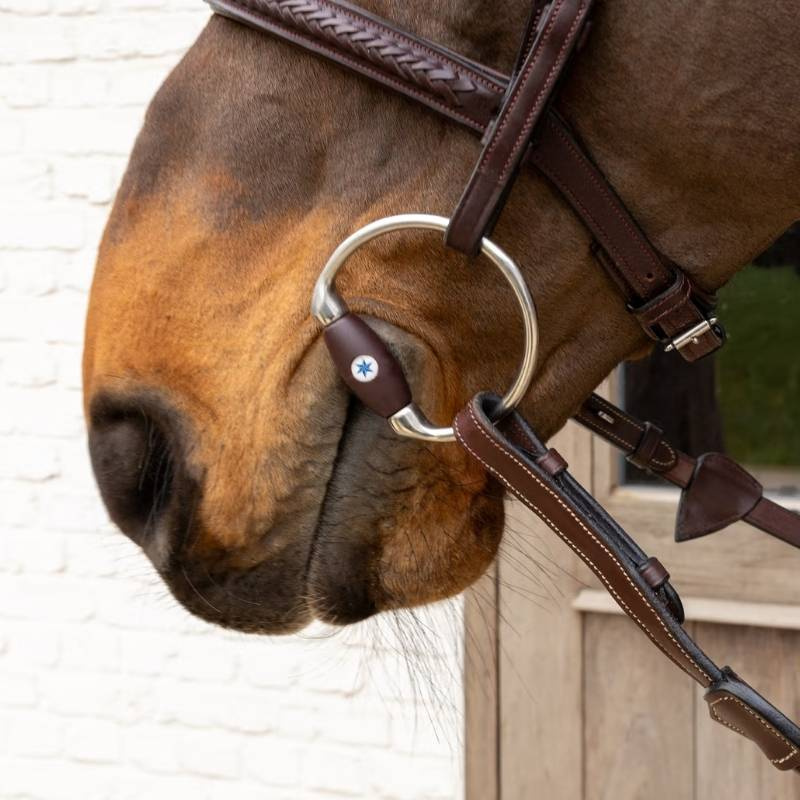 Eggbett Flex Hard 20mm