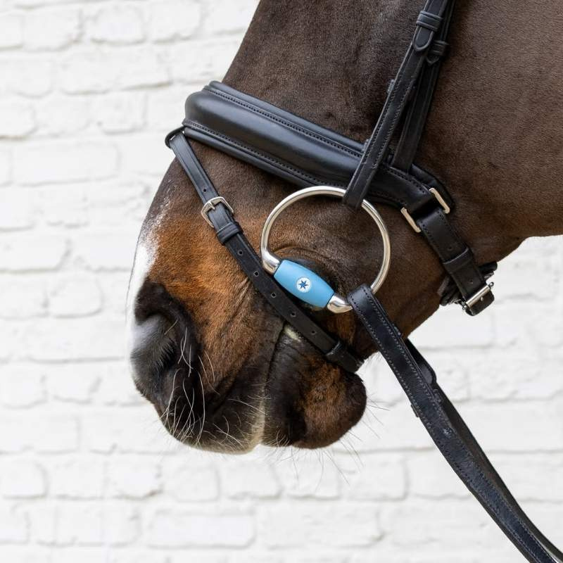 Eggbett Flex Medium 20mm