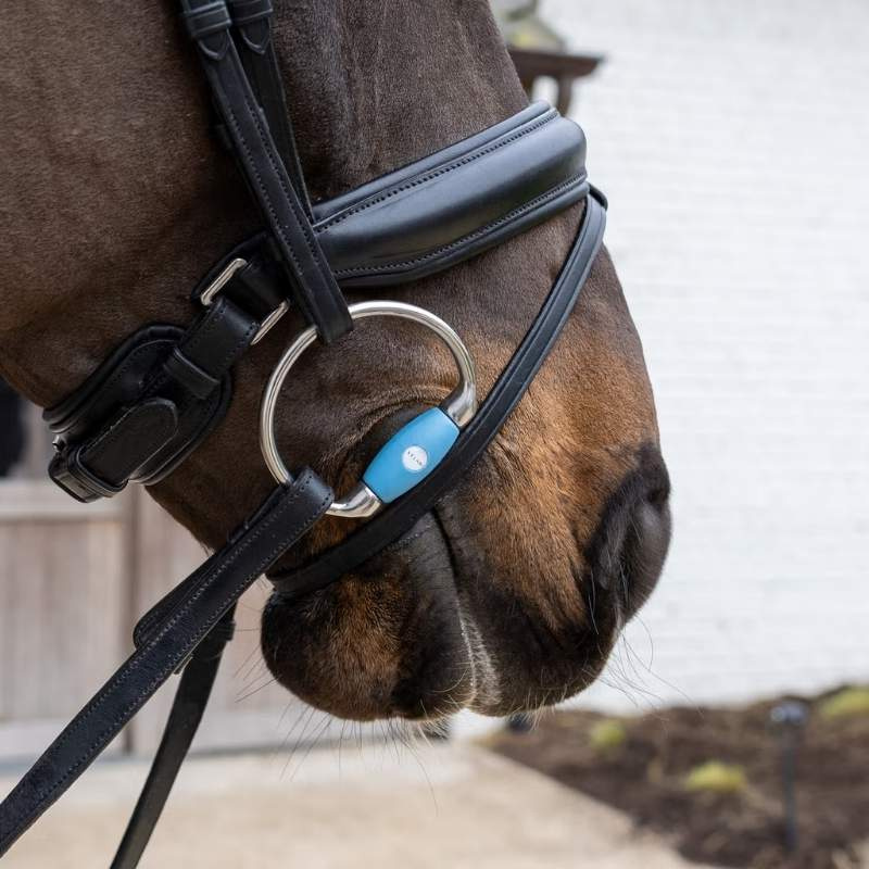 Eggbett Flex Medium 20mm