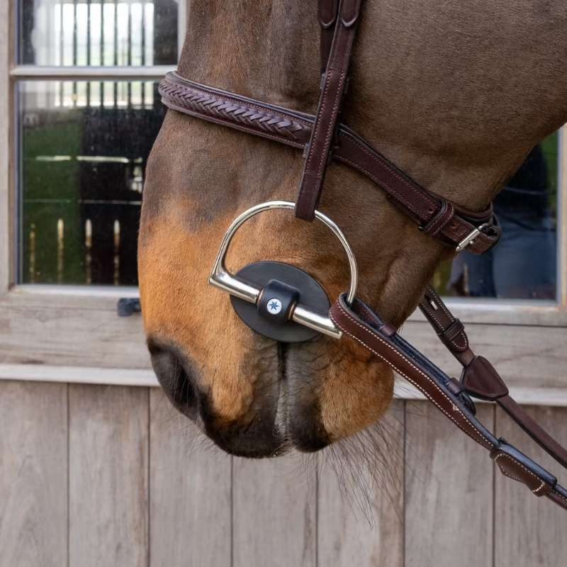 Eggbett Soft Flex Soft 20mm