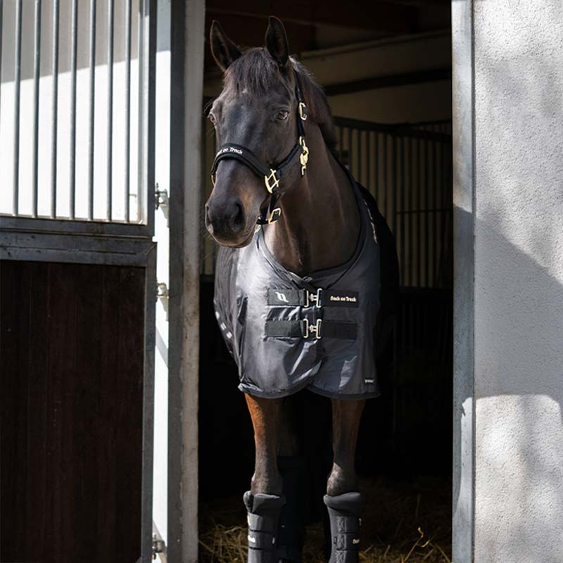 Nättäcke Royal Deluxe Svart