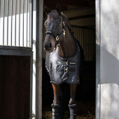 Nättäcke Royal Deluxe Svart Nättäcke Royal Deluxe Svart