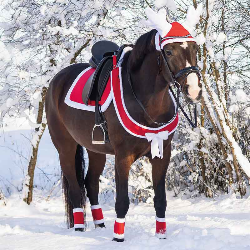 Brösta Christmas Röd/Vit