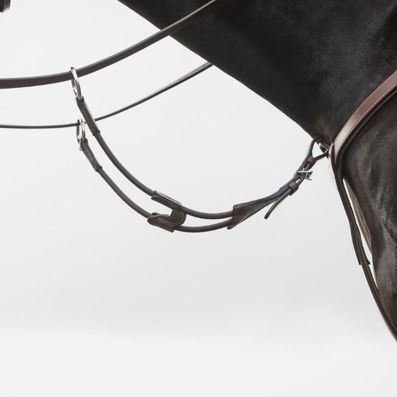 Kort Martingal Elastic Eccelente Brun