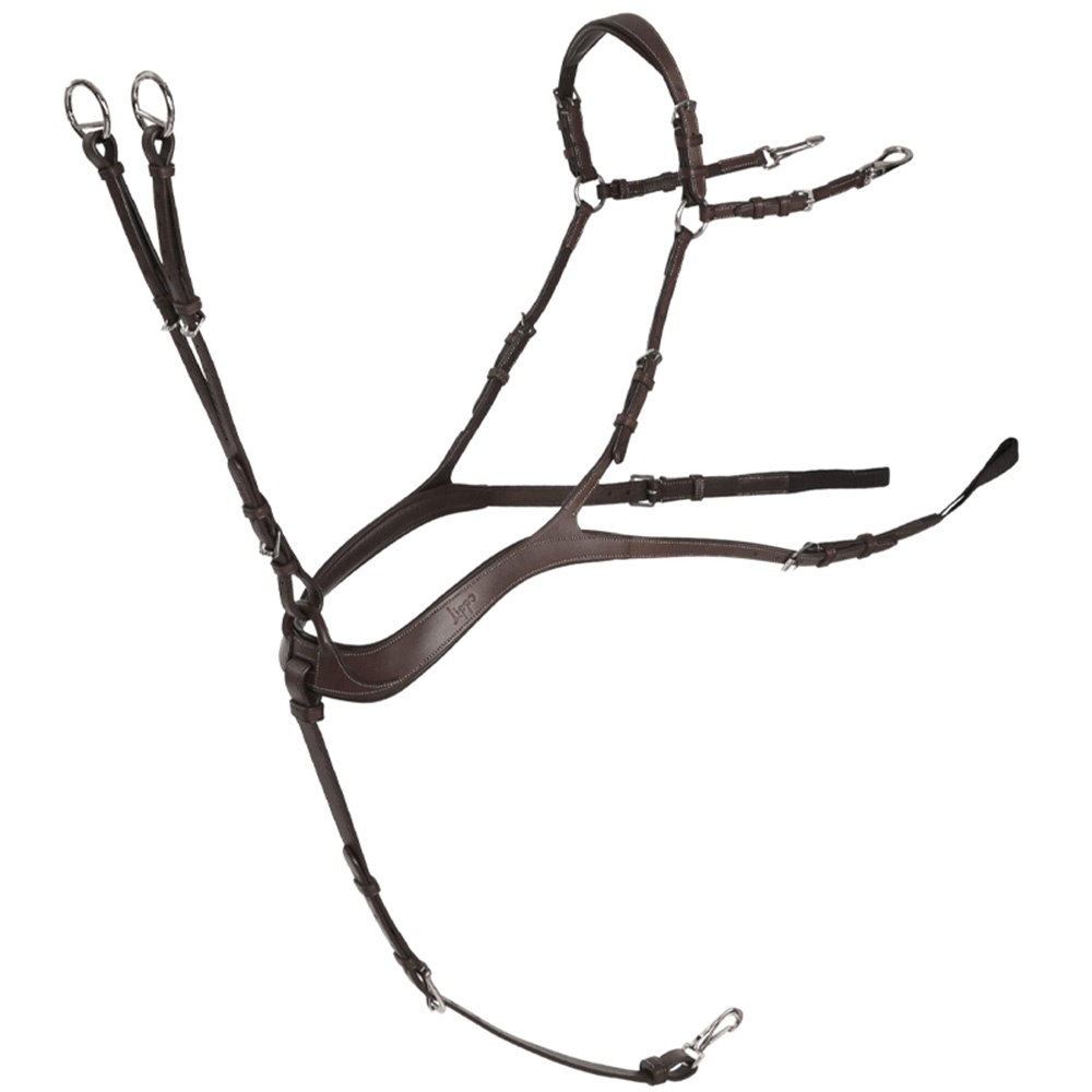 Anatomisk Förbygel med Martingal Chocolate/Silver