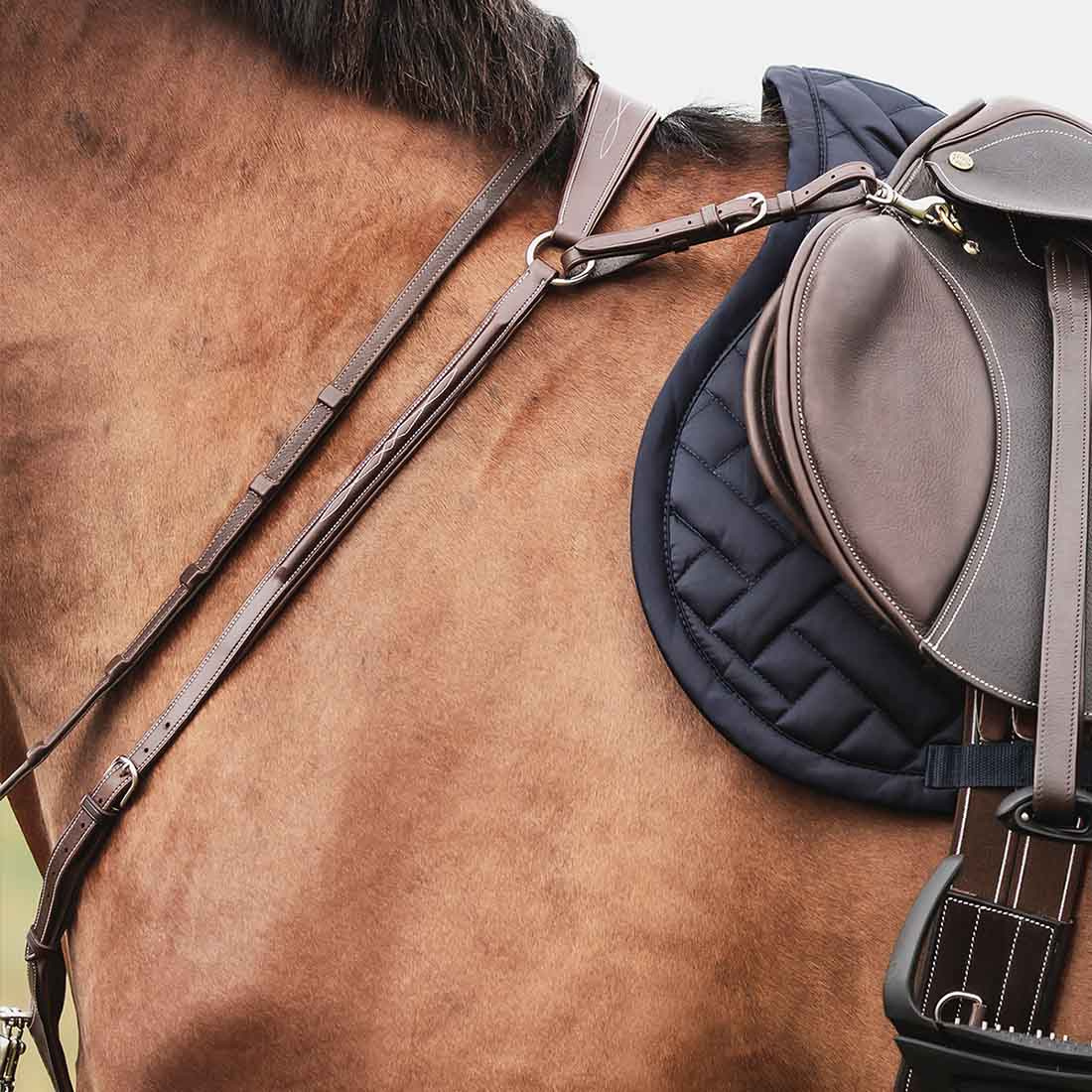 Förbygel m Martingal Fazzino Brun