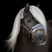 Grimma med Ludd Svart/Grå Grimma med Ludd Svart/Grå