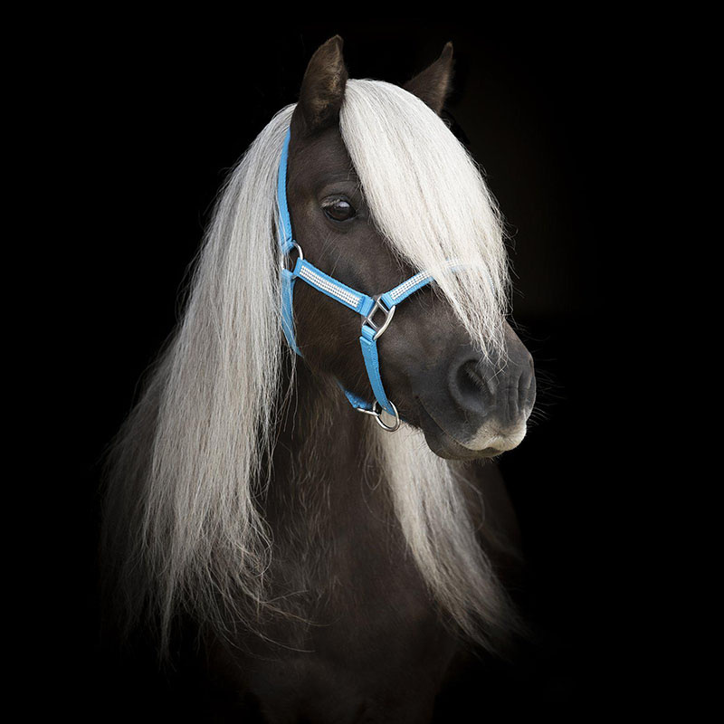 Grimma Mini Strass Blå