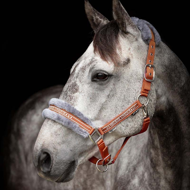 Grimma med Ludd Orange/Grå