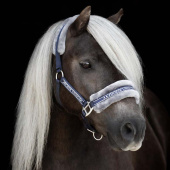 Grimma med Ludd Marinblå/Grå Grimma med Ludd Marinblå/Grå