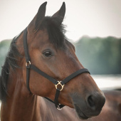 Grimma Track Svart Grimma Track Svart