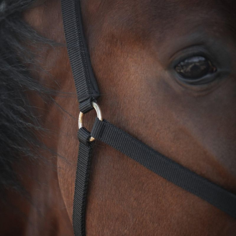 Grimma Track Svart