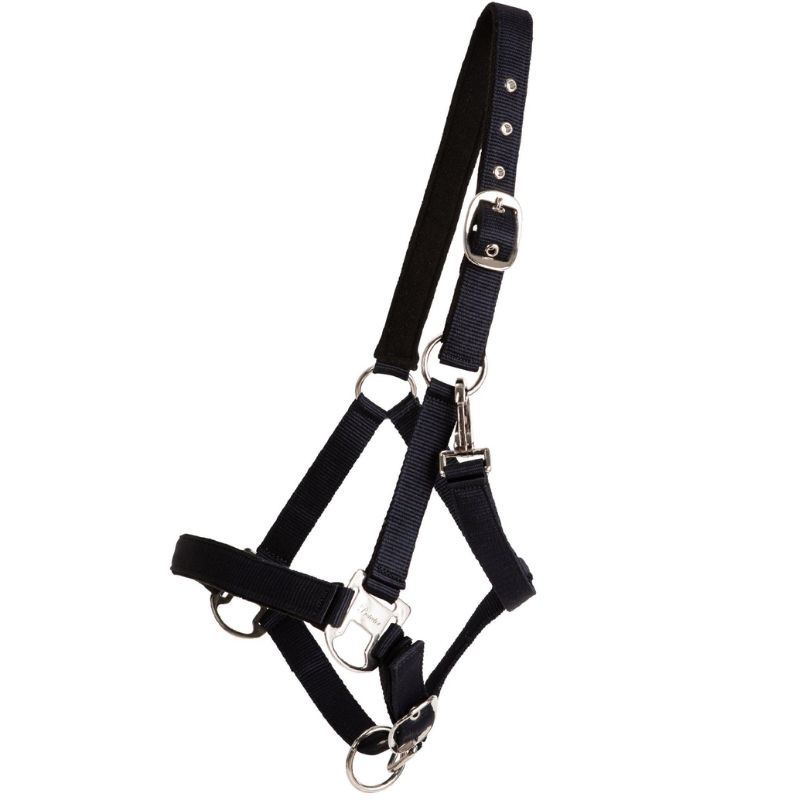 Grimma Double Buckle Marinblå
