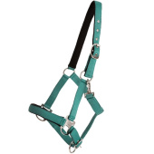 Grimma Double Buckle Turkos Grimma Double Buckle Turkos